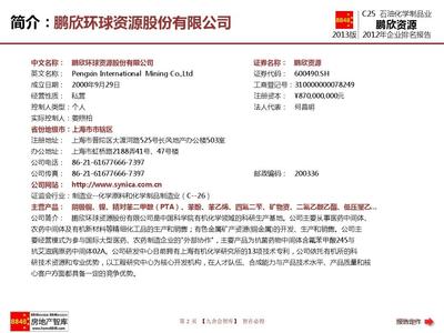 鹏欣环球资源股份2013年报解析 石油化学制品业资产负债表与企业排名及薪酬报告